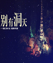 [视频]世界最大、最美的溶洞——贵州织金洞