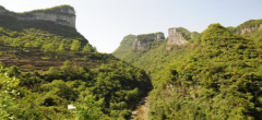 三甲峡谷