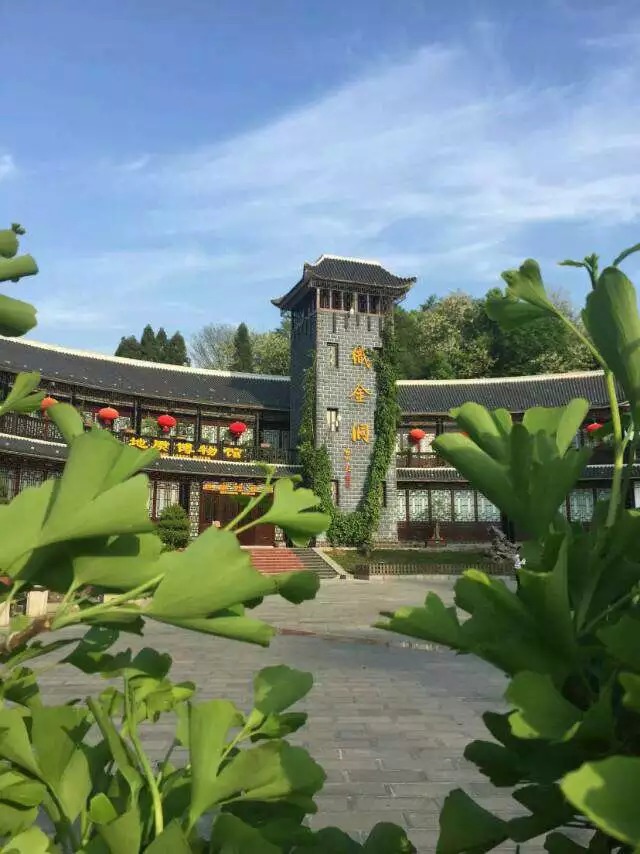 https://mmbiz.qlogo.cn/mmbiz/RFvM8Jl2ia8gvkEarRTJunuk4kfXMqV6oNTf4CXwIeUILLzJsCRzcM5UPtbO6iaIr9lnGLXibXGEUKls2aB190YaA/0?wx_fmt=jpeg