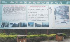 全国旅游洞穴联盟赴陕西柞水溶洞开展考察交流活动