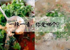 乾鑫鱼馆，一家专注野生鲶鱼16年的鱼馆。