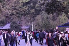 织金洞景区清明节第一天客流量播报
