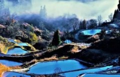 杨豪：织金人生百悟（一）