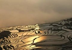 坚持“四态合一”发展全域旅游