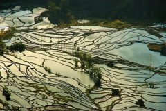 推动传统工艺与旅游市场结合