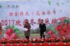 “织金洞天·花海毕节”2017欢乐冬季采摘节开幕，冬日里的浪漫红心